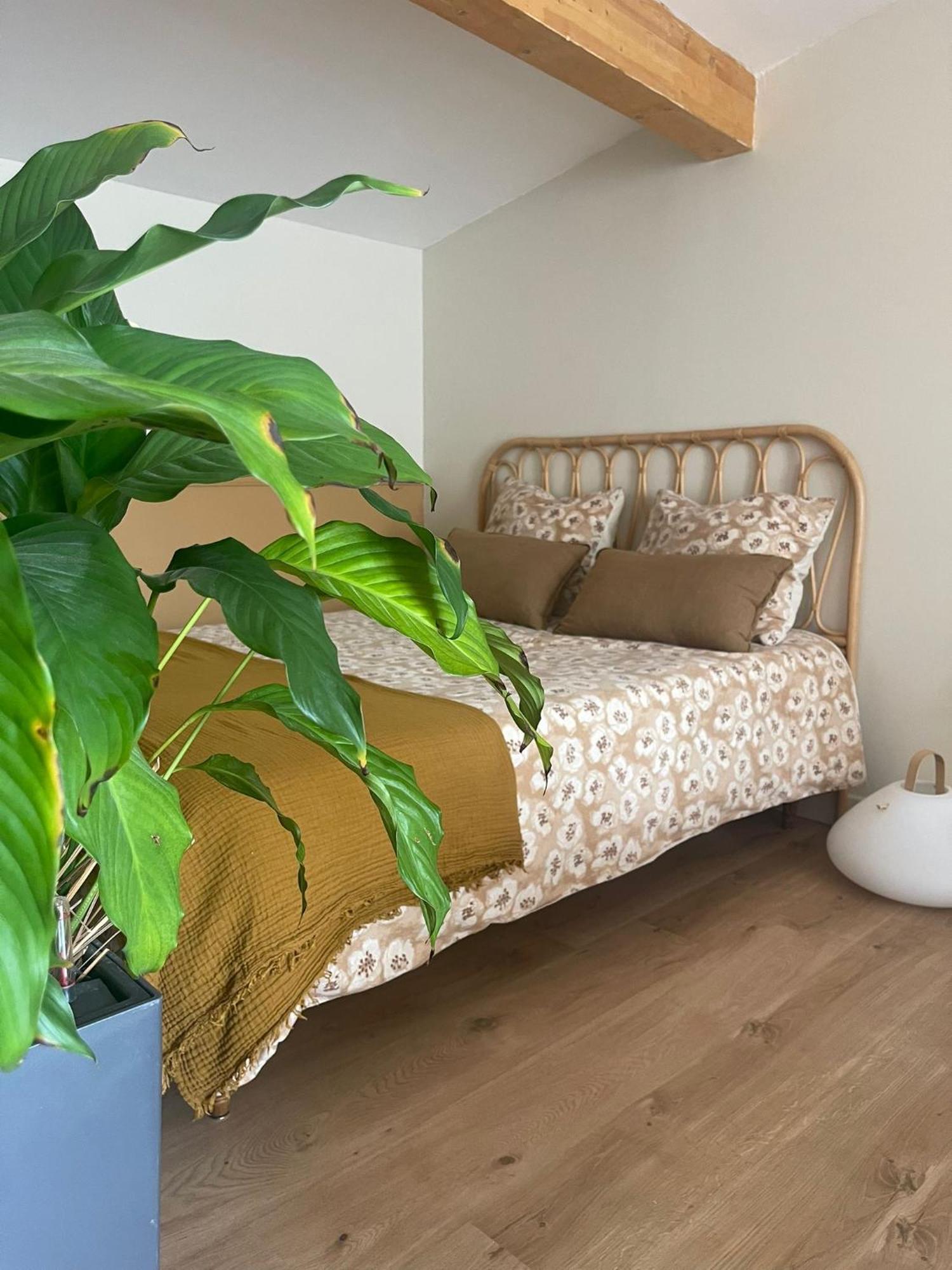 Studio Cosy Castanet-Tolosan Exteriér fotografie